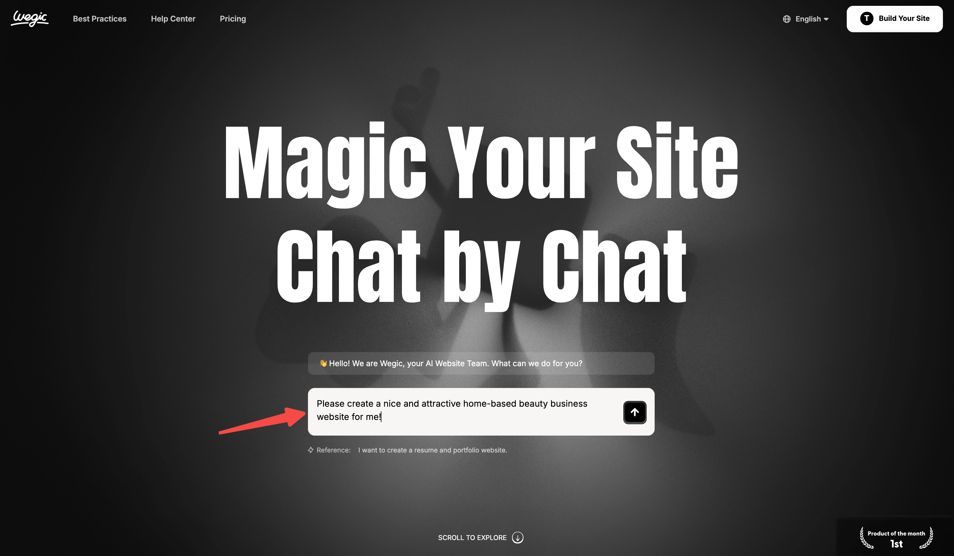 Wegic Home Page Text Entry Portal