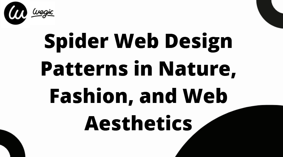 spider web design application explained